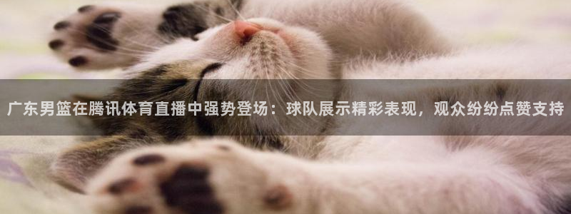 说球帝官网