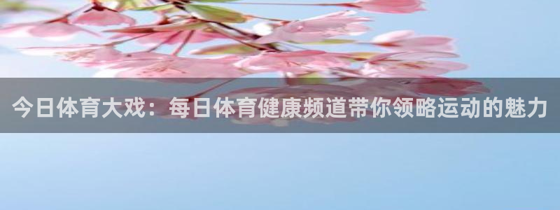 说球帝直播在线观看免费：今日体育大戏：每日体育健康频道带你领略运动的魅力