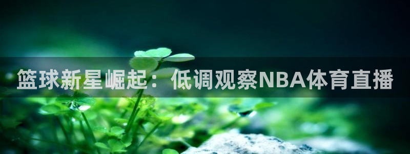 说球帝直播nba免费观看：篮球新星崛起：低调观察NBA体育直播