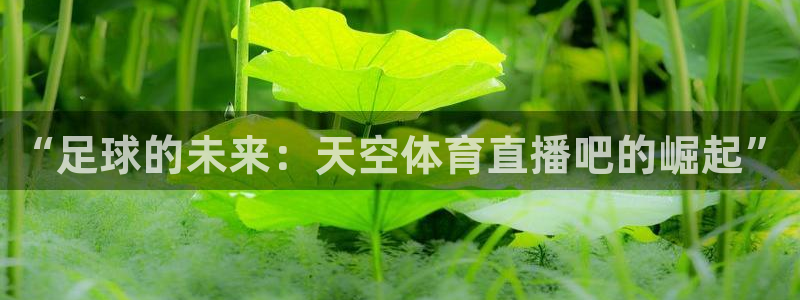 说球帝58直播：“足球的未来：天空体育直播吧的崛起”