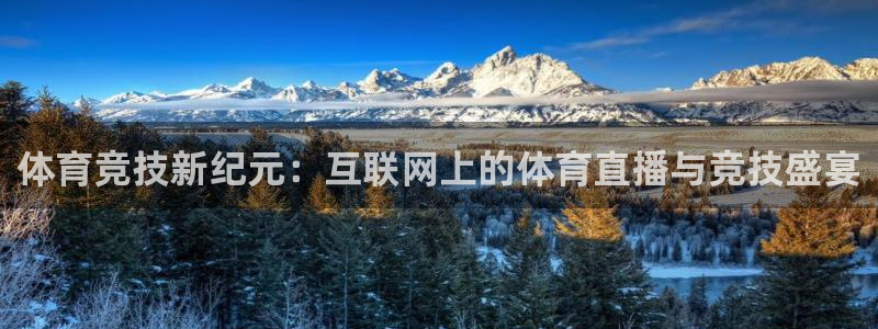 说球帝nba在线直播篮球：体育竞技新纪元：互联网上的体育直播与竞技盛宴