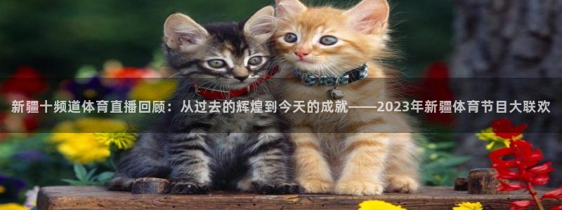 说球帝app官网下载：新疆十频道体育直播回顾：从过去的辉煌到今天的成就——2023年新疆体育节目大联欢
