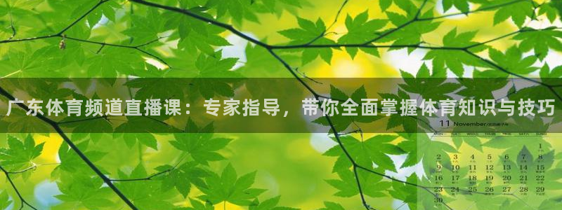 说球帝五大联赛直播免费观看：广东体育频道直播课：专家指导，带你全面掌握体育知识与技巧